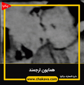 همایون ارجمند
