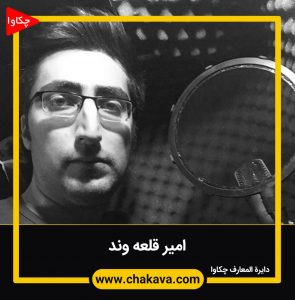 امیر قلعه وند