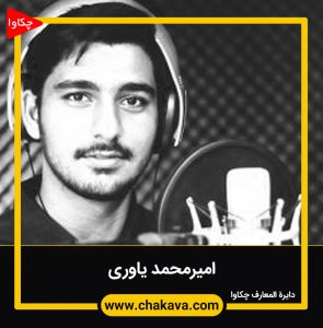 امیرمحمد یاوری