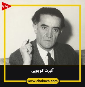 آلبرت کوچویی